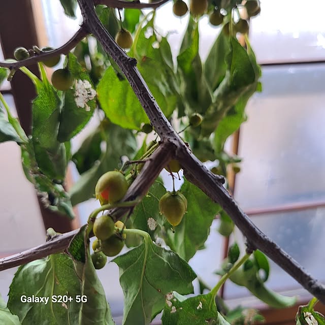 monnさんの部屋