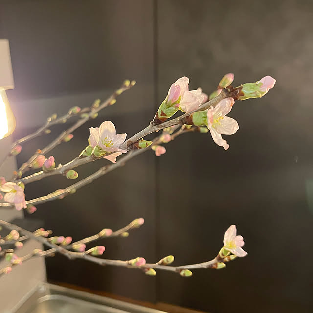 hironさんの部屋