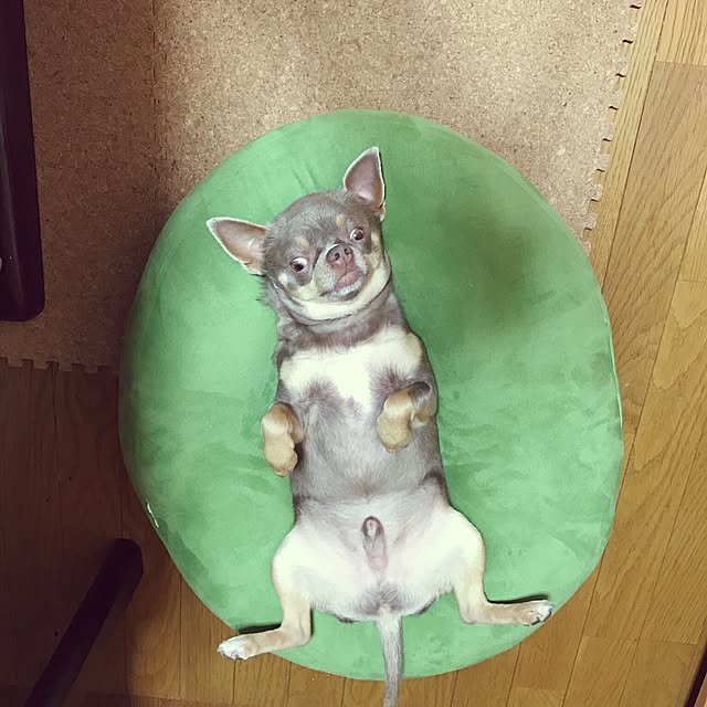 shippoさんの実例写真
