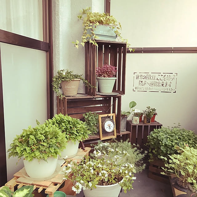 megu47さんの実例写真