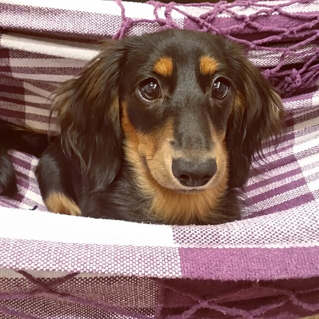 vickyさんの実例写真