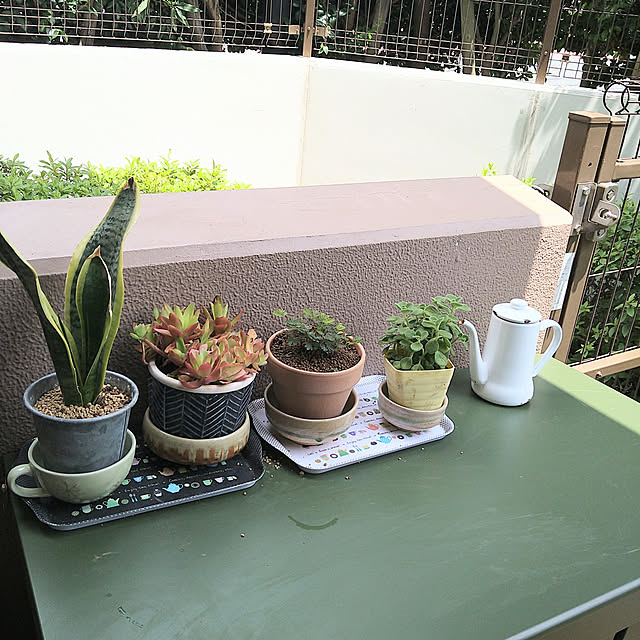 okyosan101さんの実例写真