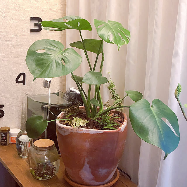 ruru0918さんの実例写真