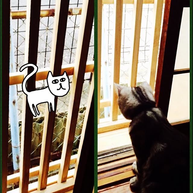 Mikan...necoさんの実例写真