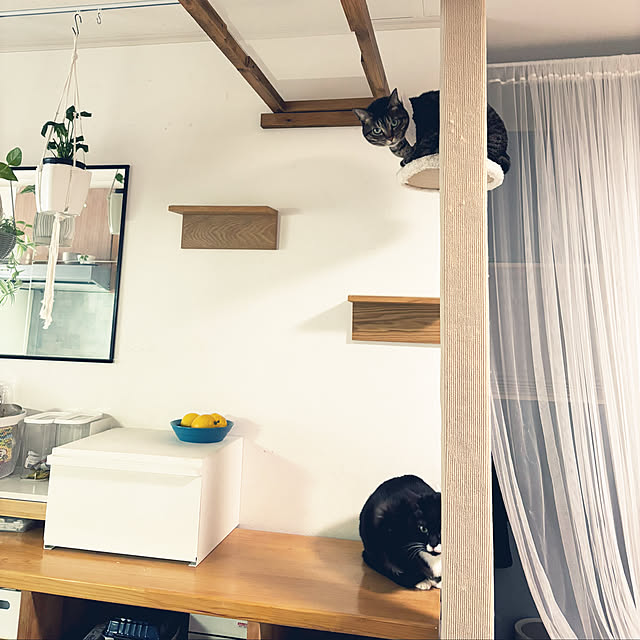 masamasaさんの部屋