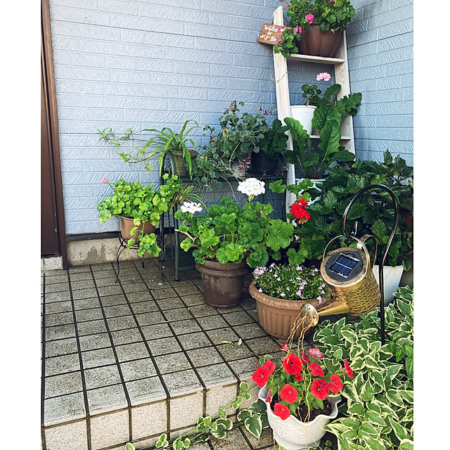 CoCo0617さんの部屋