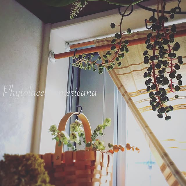 eriさんの実例写真