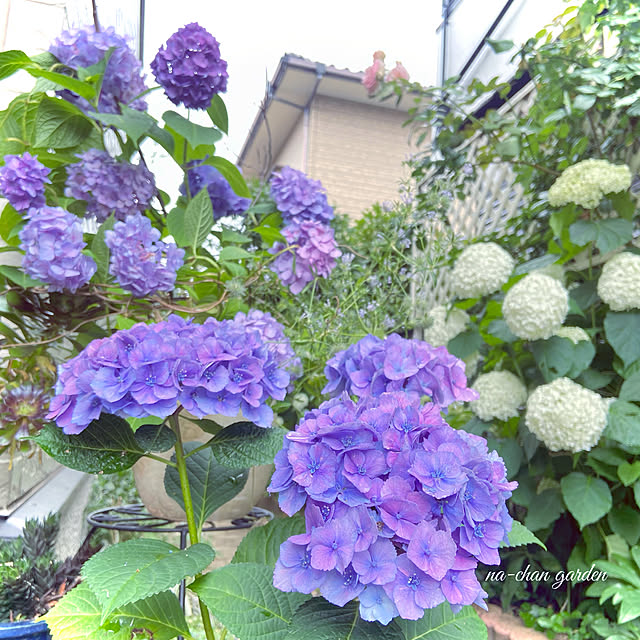 na-chanさんの実例写真
