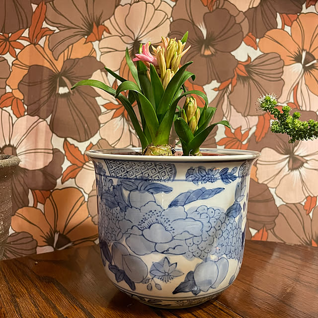 shin0719さんの実例写真