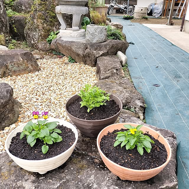 sumimarumiさんの部屋