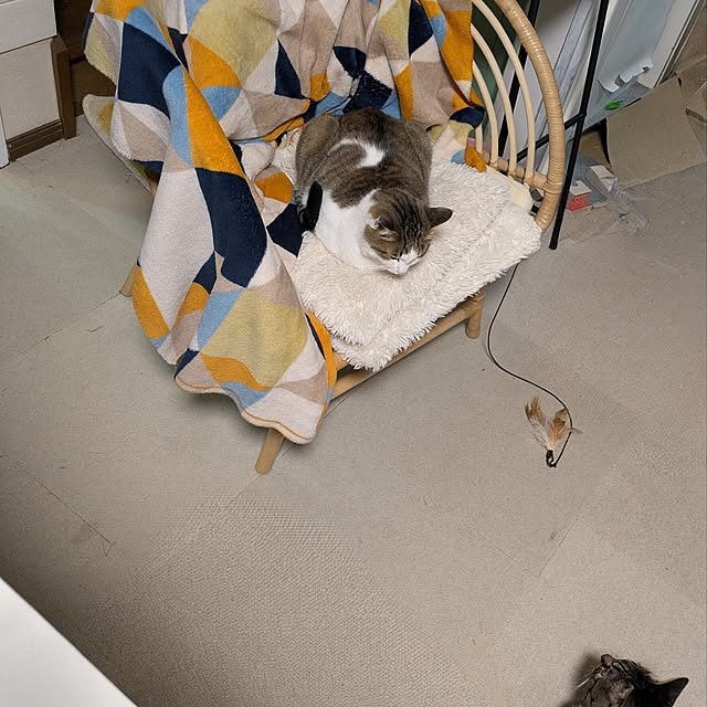 mori_6_12さんの部屋