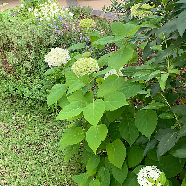 eitamanさんの実例写真