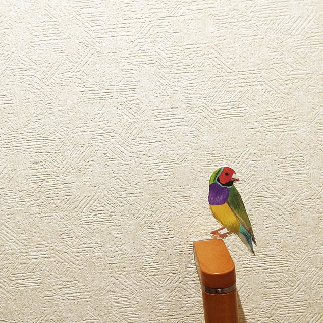 mochimaruさんの実例写真