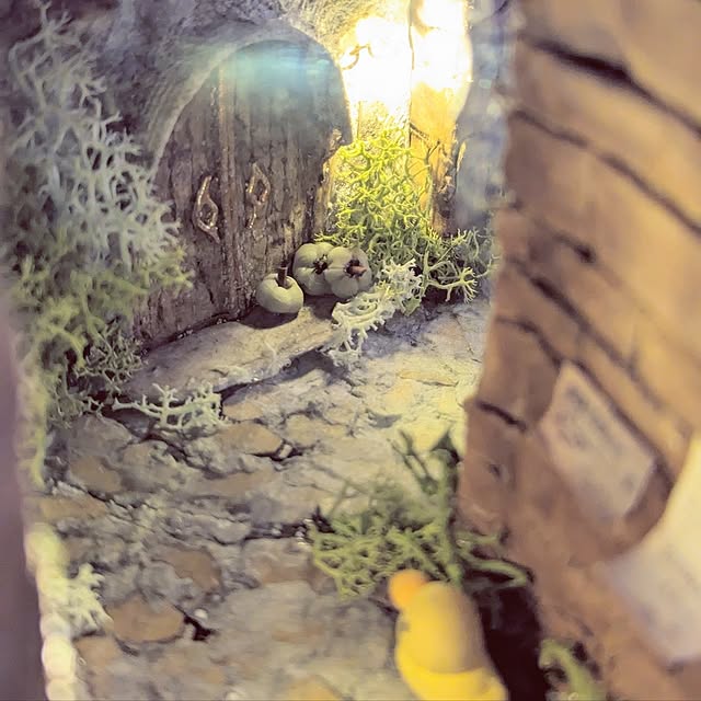 noahさんの部屋