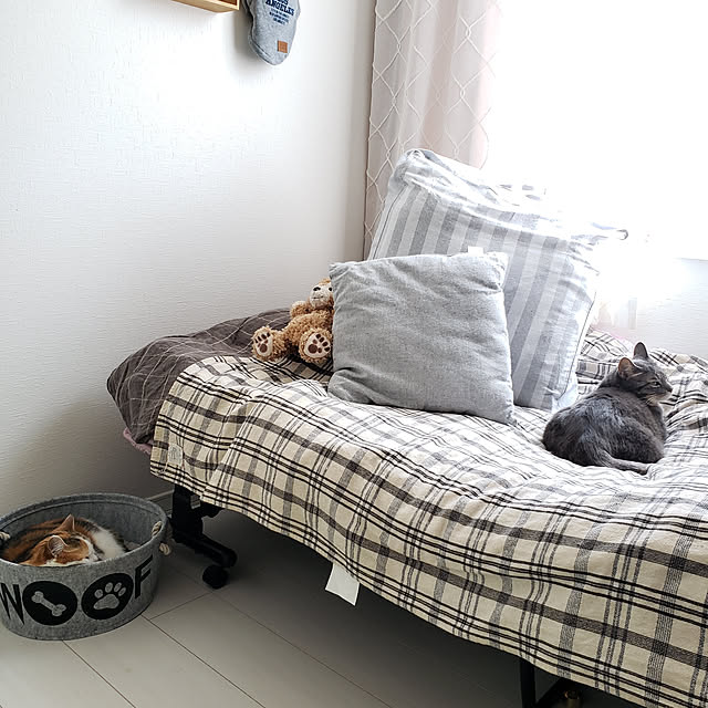 megu.catさんの実例写真