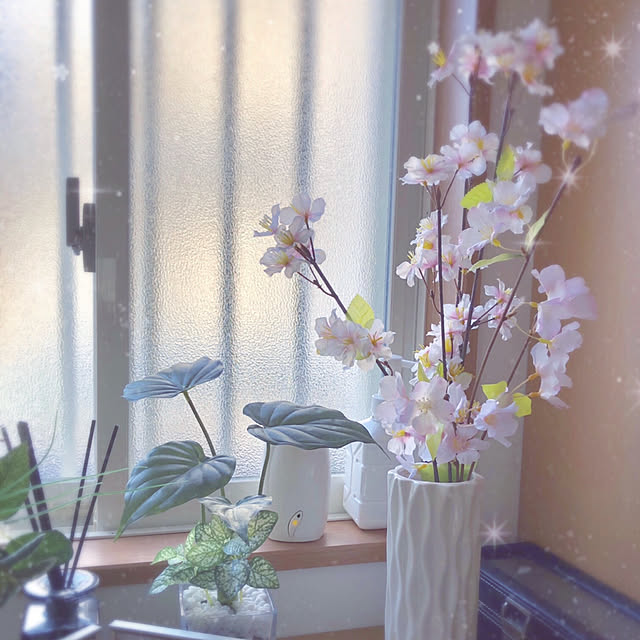 nnmmさんの実例写真