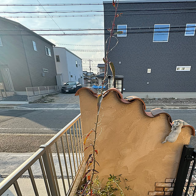 usakoさんの実例写真