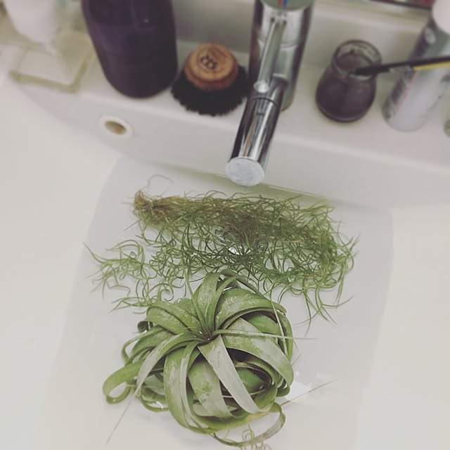 yaeshiさんの実例写真