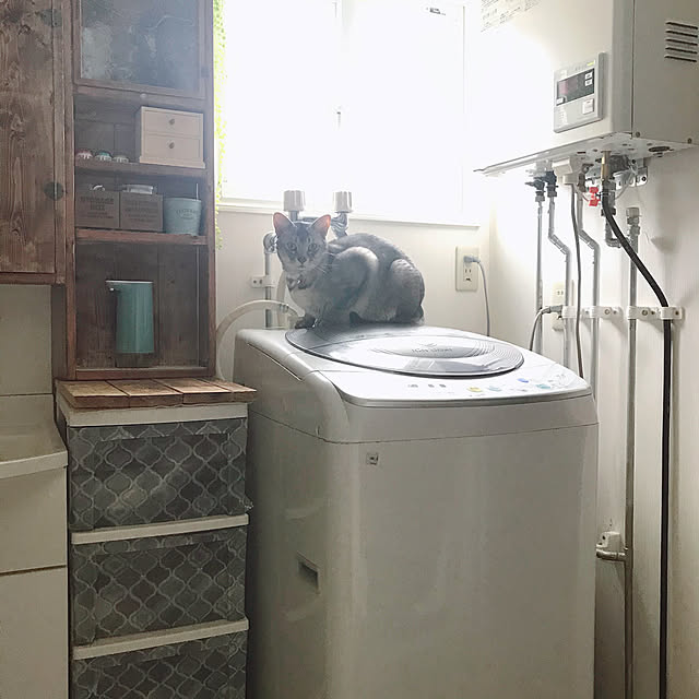 kotoriさんの実例写真