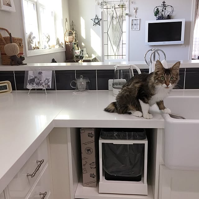 yuchiさんの実例写真