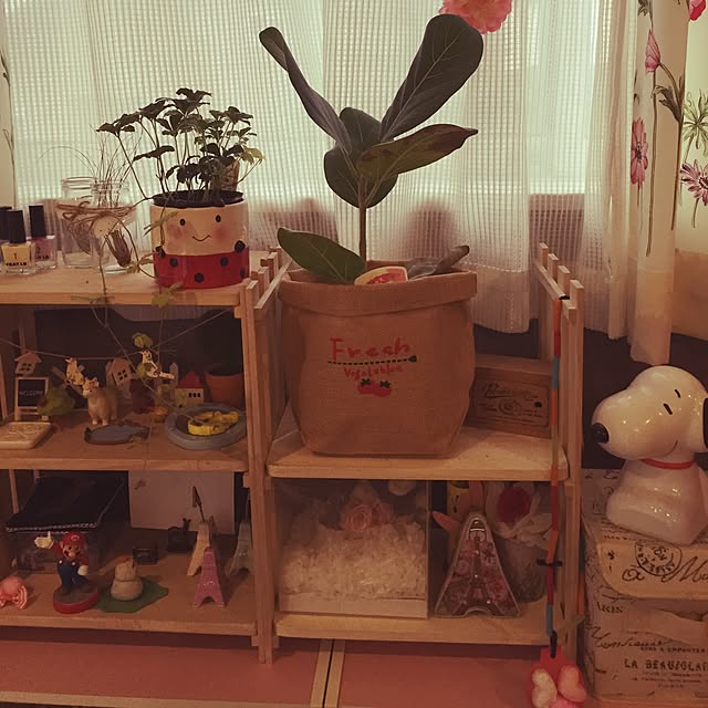 mikiさんの実例写真