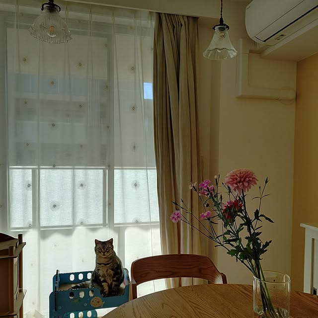 ricoricoさんの部屋