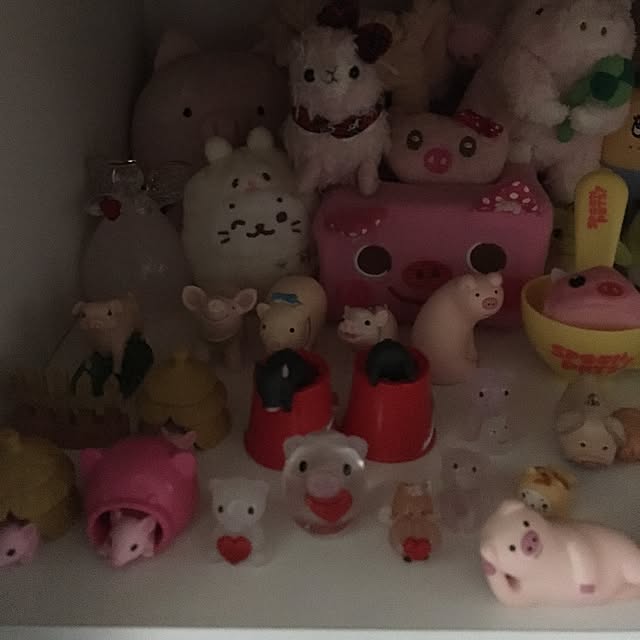 hasuさんの実例写真