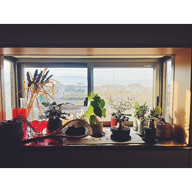 w_end_0625さんの実例写真