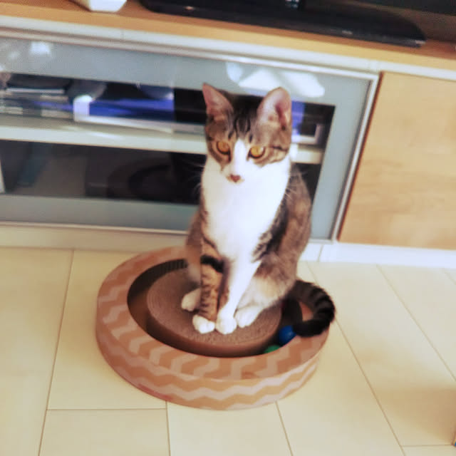 hanacocoさんの実例写真