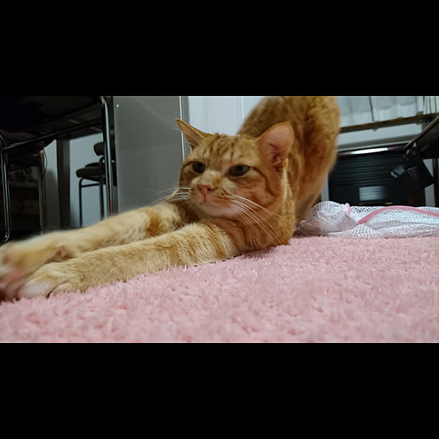 Nanaさんの実例写真