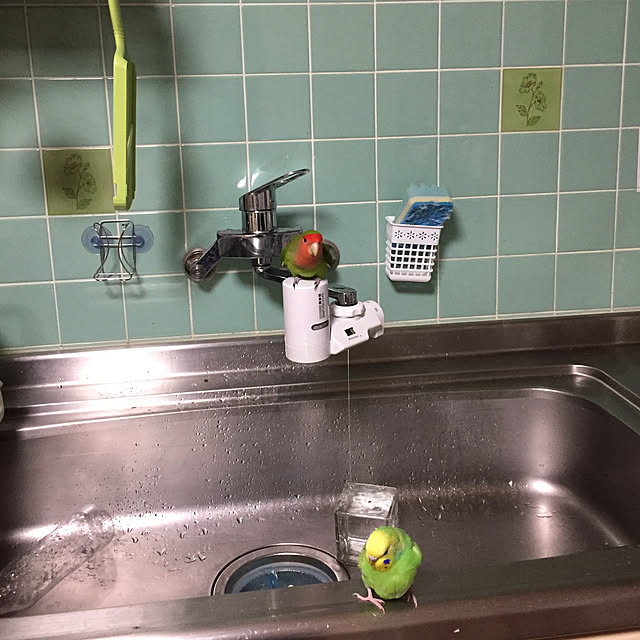 toratanさんの実例写真