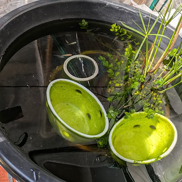 mi-saさんの部屋