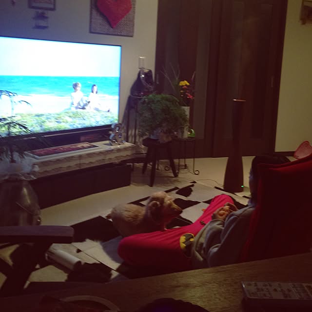 Reiさんの実例写真