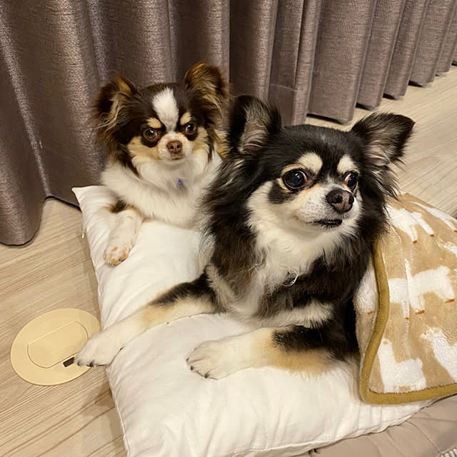 Hannahさんの実例写真