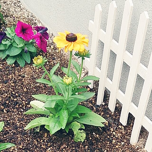 sunflowerさんの実例写真