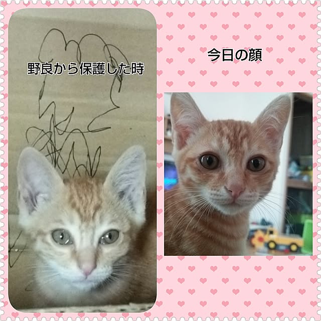 kiyohima229さんの実例写真