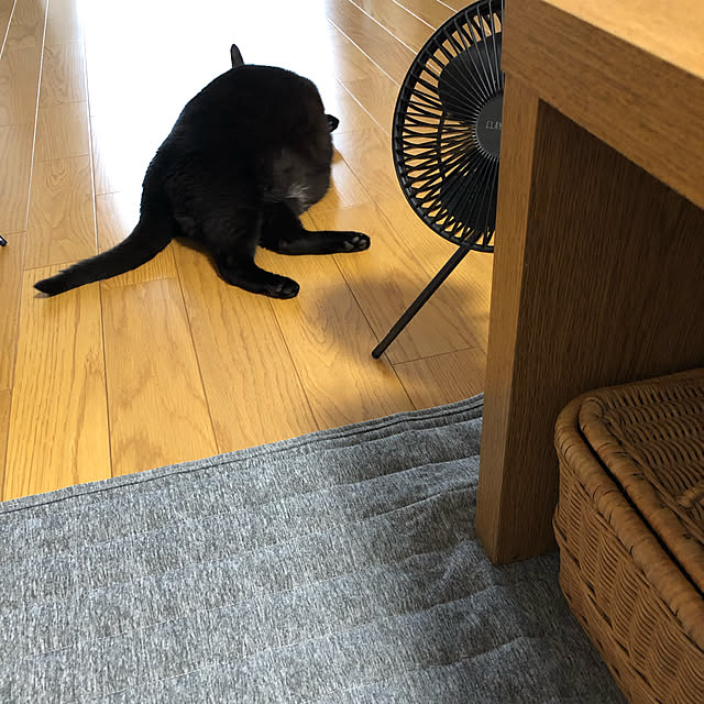 chigusaさんの実例写真
