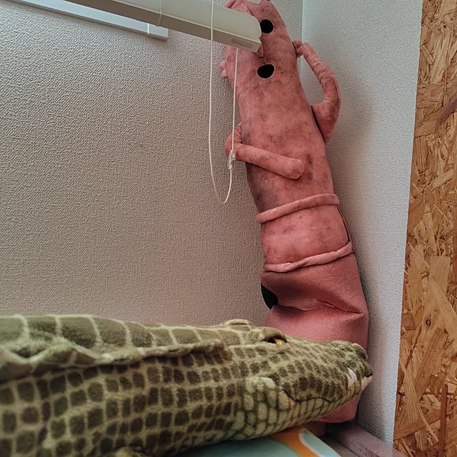 hohoさんの部屋