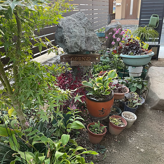 buchiさんの部屋