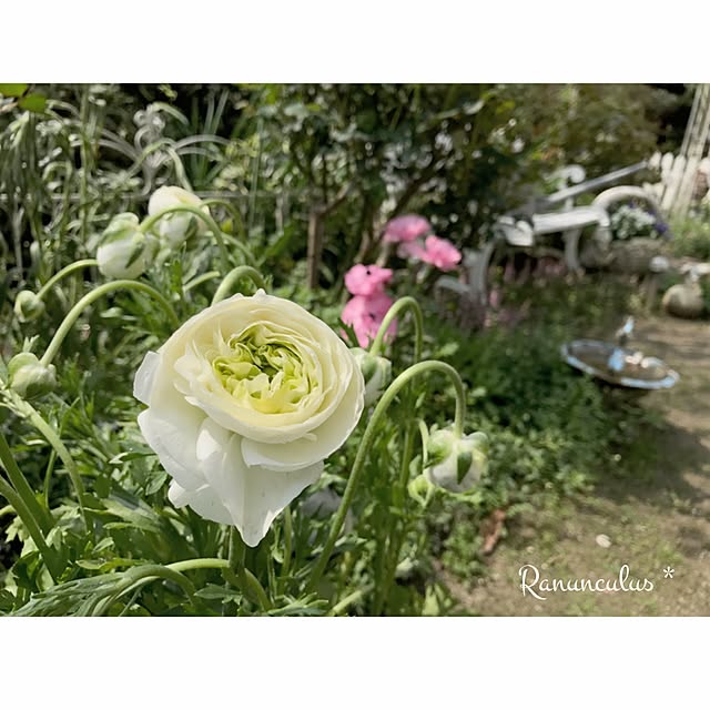 s.mamaさんの実例写真