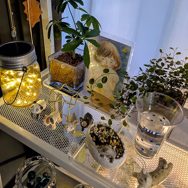 mi-saさんの部屋