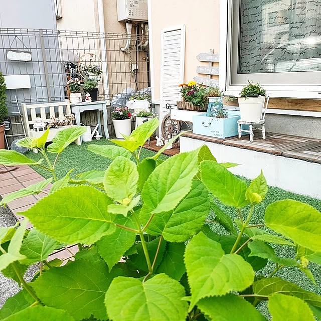 YUKKIさんの実例写真