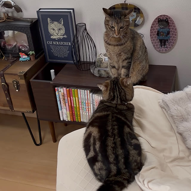 chiiさんのお部屋の写真