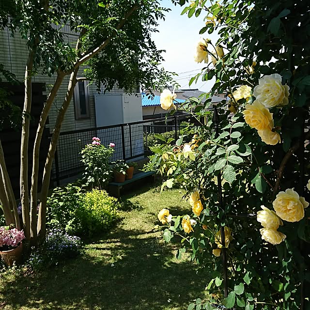 AZさんの実例写真