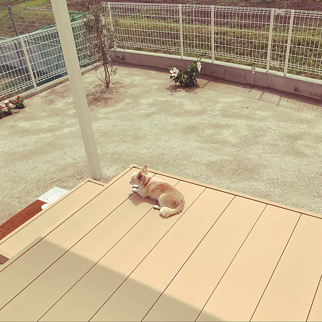 Sweetpeaさんの実例写真
