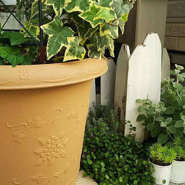 mmpoohさんの実例写真