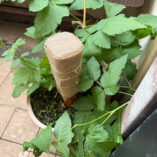 tabasaさんの部屋