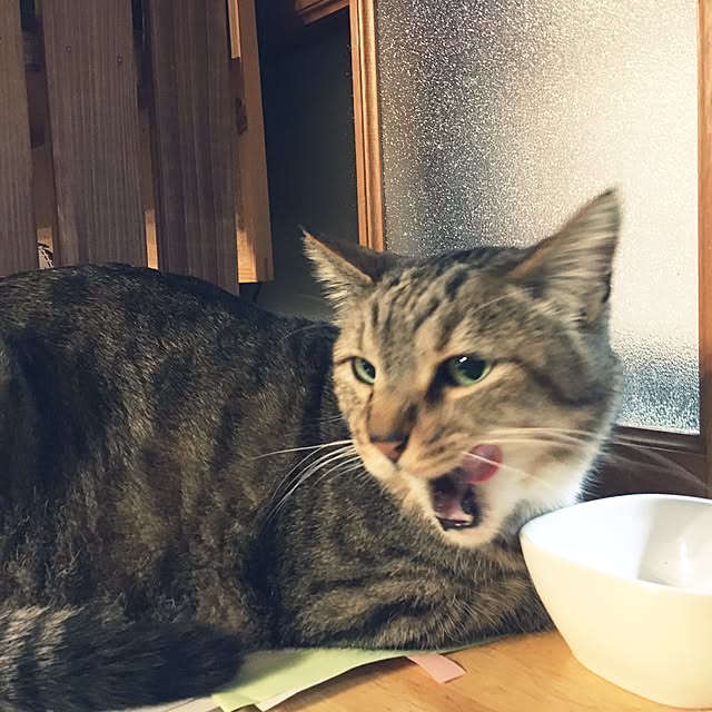 Miechamさんの実例写真