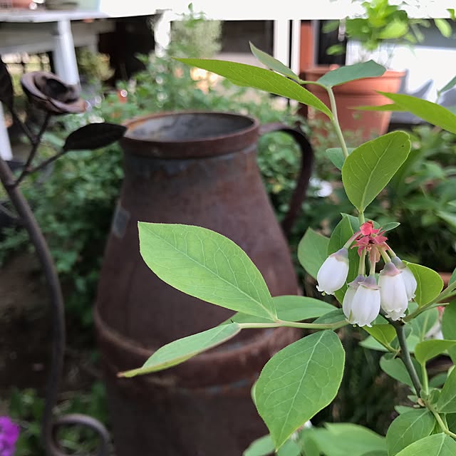 kokko3さんの実例写真