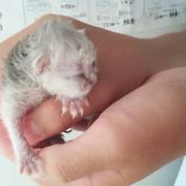 hiroko5410さんの実例写真